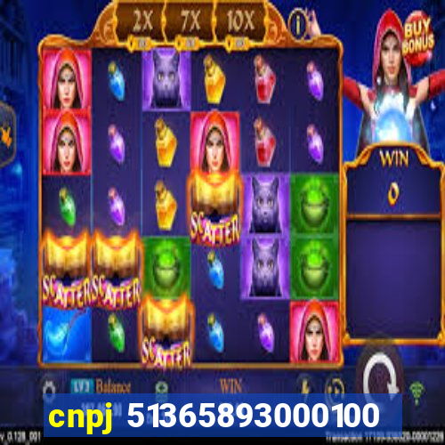 cnpj 51365893000100